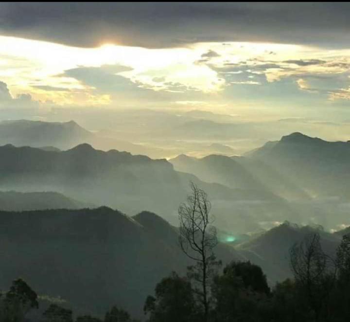 Praveen'S Wood House Kodaikanal Vattakanal Екстериор снимка
