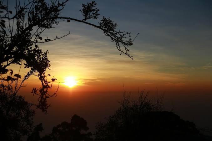 Praveen'S Wood House Kodaikanal Vattakanal Екстериор снимка