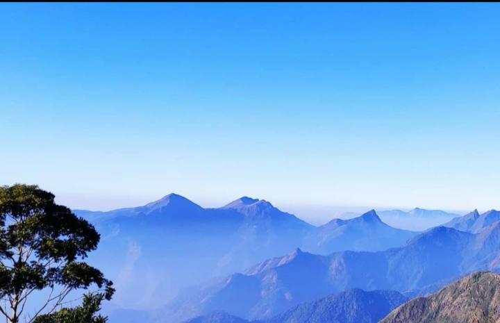 Praveen'S Wood House Kodaikanal Vattakanal Екстериор снимка